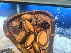 鲍鱼-芭菲盛宴·环球美食(北城国际店)