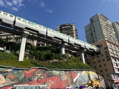 -李子坝梁山鸡(李子坝大鸡哥店)