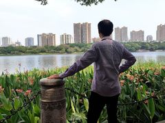 -南宁南湖公园