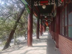 -灵谷景区