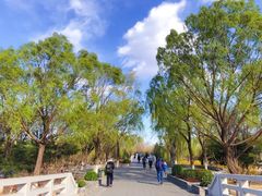 -大兴滨河森林公园