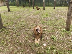 -秦皇岛野生动物园