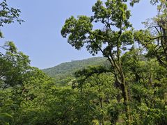 -老山国家森林公园