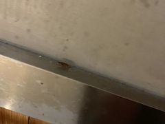 -东北烤肉(钟鼎名悦店)