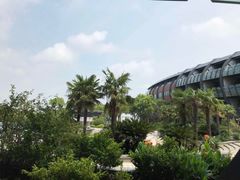 -上海滴水湖皇冠假日酒店