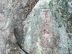 -冶父山国家森林公园