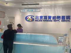 -北京观赏动物医院·24小时大型综合·猫专科·异宠专科