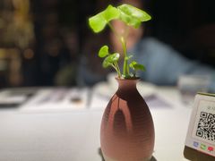 -野蔓果·山野菜(西湖景区·龙井茶田店)