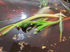 -石灰市毛记烧鸡公(解放碑店)