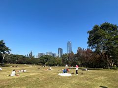 -荔香公园