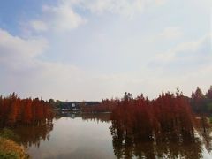 -白鹭湾湿地公园