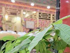 -九妹农家大铁锅东北菜(江湾店)