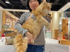 -藏猫猫咖啡主题馆(中央大道店)
