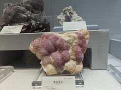 -湖南省地质博物馆