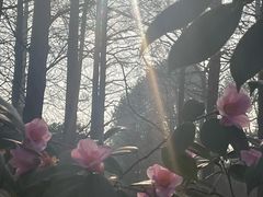 -杭州西湖柳莺里酒店·闻莺厅