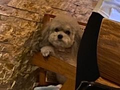 -木兰逸•泰式按摩•头疗•SPA(车公庙店)