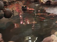 -鱼满舱·鲜活海鲜·正宗鲁菜