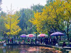 -温江公园
