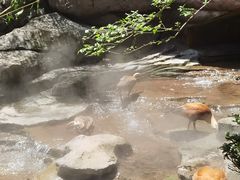 -熊猫主题餐厅