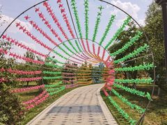 -祥源·阜阳生态乐园