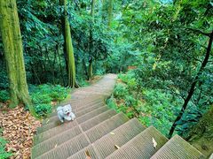 -凤栖山