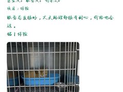 -中农大我爱我爱动物医院(甜水园店)