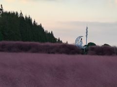 -嘉北郊野公园