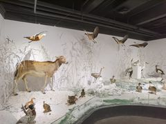 -南宫五洲植物乐园