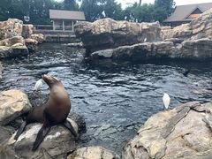 -奥兰多环球影城