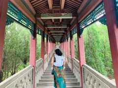 -龙口南山旅游景区