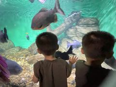-常州海昌海洋探索馆