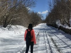 -白草畔自然风景区