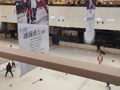 -TheRink大零溜冰场(IFS国金中心店)