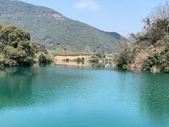 -龙坞茶村