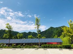 -王顺山国家森林公园