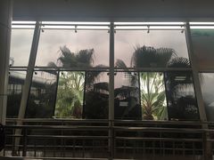-国际邮轮中心码头(厦鼓码头)