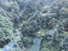 -苍山感通索道