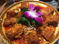 -蜀大侠火锅(建设路第五大道店)