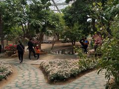 -南通洲际绿博园