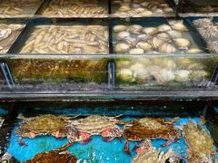 -小铜锣湾海鲜家常菜馆(河西店)