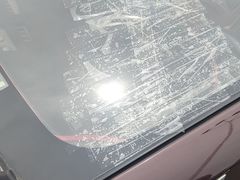 -金塔傣乡·云南民族特色菜·傣味手抓饭(金瓦路店)