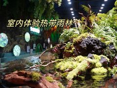-海合安天津极地海洋公园