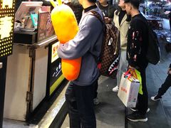 -合肥滨湖国家森林公园