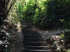 -大雁山风景区