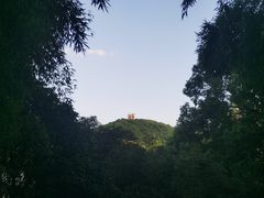 -上海佘山国家森林公园西佘山园