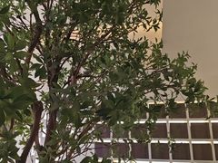 -静耳元気采耳·按摩·SPA(万象前海店)