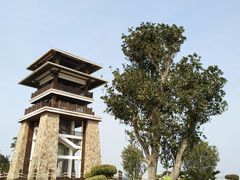 -大湾区中央湿地公园