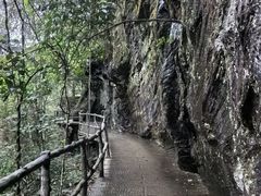 -石台牯牛降景区