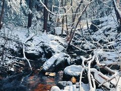 -东白山