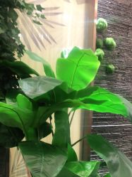 -芳朵美容养生SPA